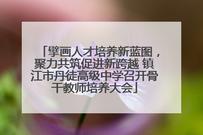 擘画人才培养新蓝图，聚力共筑促进新跨越 镇江市丹徒高级中学召开骨干教师培养大会