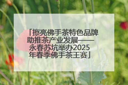 擦亮佛手茶特色品牌 助推茶产业发展——永春苏坑举办2025年春季佛手茶王赛