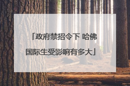 政府禁招令下 哈佛国际生受影响有多大