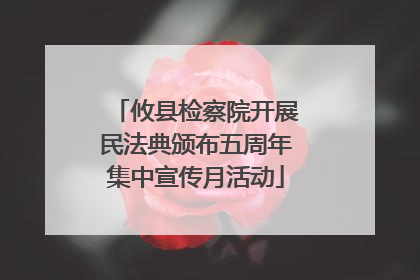 攸县检察院开展民法典颁布五周年集中宣传月活动
