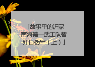 故事里的沂蒙｜南海第一武工队智歼日伪军（上）