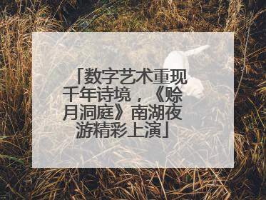 数字艺术重现千年诗境，《赊月洞庭》南湖夜游精彩上演