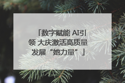 数字赋能 AI引领 大庆激活高质量发展“她力量”