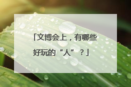 文博会上，有哪些好玩的“人”？