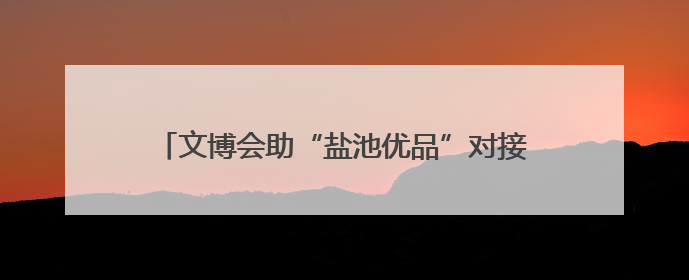 文博会助“盐池优品”对接“湾区市场”！宁夏吴忠市盐池县签约28.44亿元