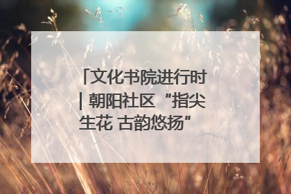 文化书院进行时｜朝阳社区“指尖生花 古韵悠扬”公益课堂开课了