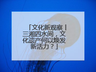 文化新观察丨三湘四水间，文化遗产何以焕发新活力？