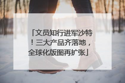 文员知行进军沙特！三大产品齐落地，全球化版图再扩张