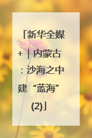 新华全媒+｜内蒙古：沙海之中建“蓝海”(2)