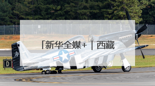 新华全媒+｜西藏：黑颈鹤家族高原湿地喜添“萌宝”