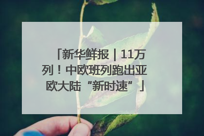 新华鲜报｜11万列！中欧班列跑出亚欧大陆“新时速”