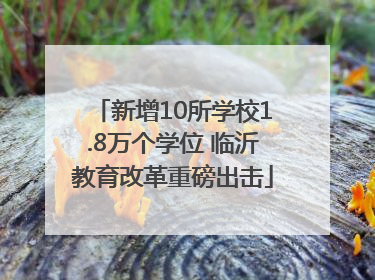 新增10所学校1.8万个学位 临沂教育改革重磅出击