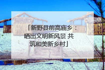 新野县前高庙乡：晒出文明新风景 共筑和美新乡村