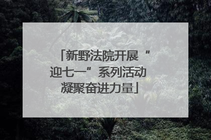 新野法院开展“迎七一”系列活动 凝聚奋进力量