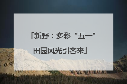 新野：多彩“五一” 田园风光引客来