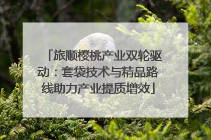 旅顺樱桃产业双轮驱动：套袋技术与精品路线助力产业提质增效