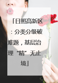 日照高新区：分类分级破难题，基层治理“精”无止境