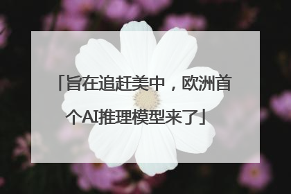 旨在追赶美中，欧洲首个AI推理模型来了