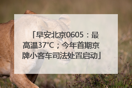 早安北京0605：最高温37℃；今年首期京牌小客车司法处置启动