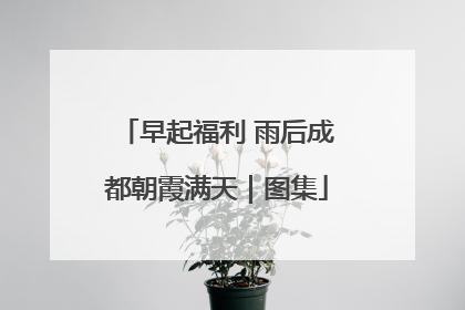 早起福利 雨后成都朝霞满天｜图集