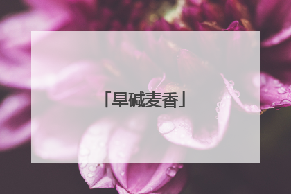 旱碱麦香