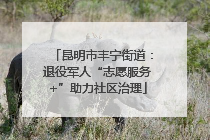 昆明市丰宁街道：退役军人“志愿服务+”助力社区治理