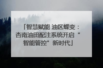 智慧赋能 油区蝶变：杏南油田配注系统开启“智能管控”新时代