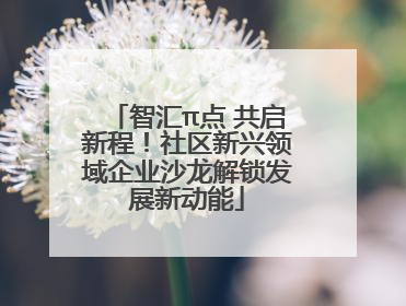 智汇π点 共启新程！社区新兴领域企业沙龙解锁发展新动能