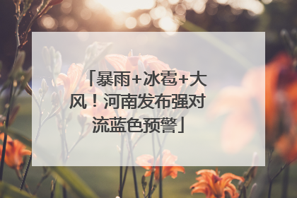 暴雨+冰雹+大风！河南发布强对流蓝色预警
