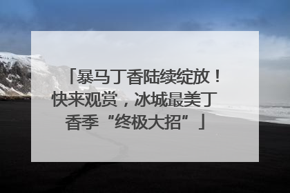暴马丁香陆续绽放！快来观赏，冰城最美丁香季“终极大招”