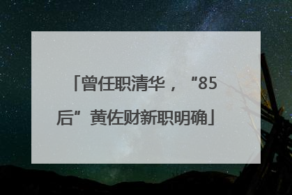 曾任职清华，“85后”黄佐财新职明确