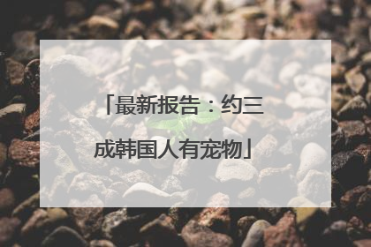 最新报告：约三成韩国人有宠物