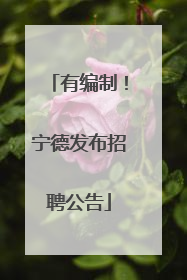 有编制！宁德发布招聘公告