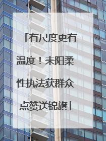 有尺度更有温度！耒阳柔性执法获群众点赞送锦旗
