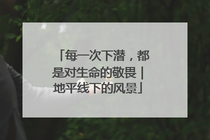 每一次下潜，都是对生命的敬畏｜地平线下的风景