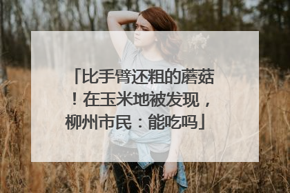 比手臂还粗的蘑菇！在玉米地被发现，柳州市民：能吃吗