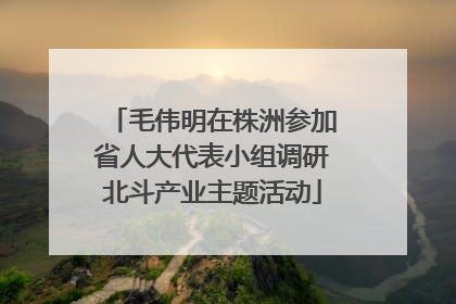 毛伟明在株洲参加省人大代表小组调研北斗产业主题活动