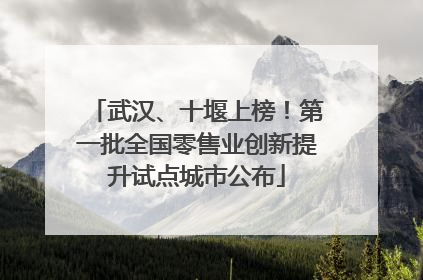 武汉、十堰上榜！第一批全国零售业创新提升试点城市公布
