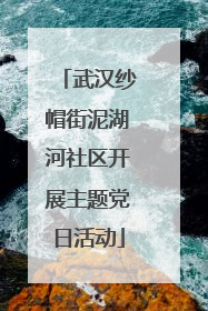 武汉纱帽街泥湖河社区开展主题党日活动