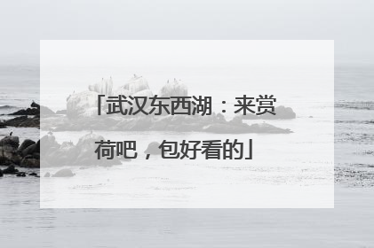 武汉东西湖：来赏荷吧，包好看的