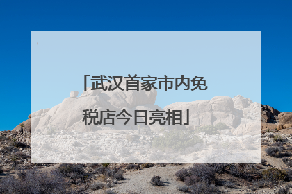 武汉首家市内免税店今日亮相