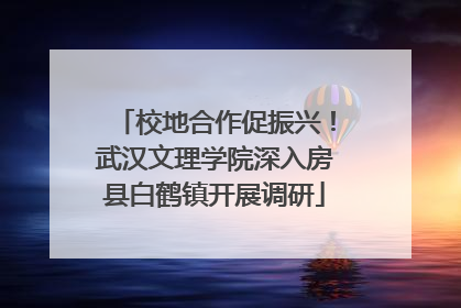 校地合作促振兴！武汉文理学院深入房县白鹤镇开展调研
