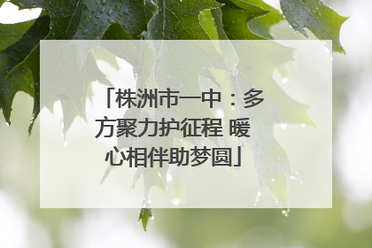 株洲市一中：多方聚力护征程 暖心相伴助梦圆