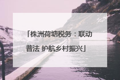 株洲荷塘税务：联动普法 护航乡村振兴