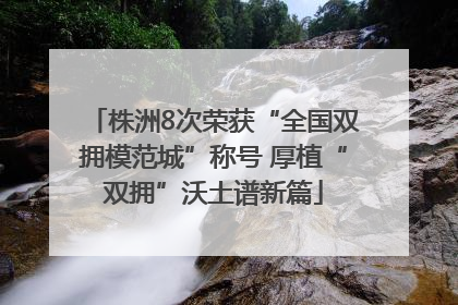 株洲8次荣获“全国双拥模范城”称号 厚植“双拥”沃土谱新篇