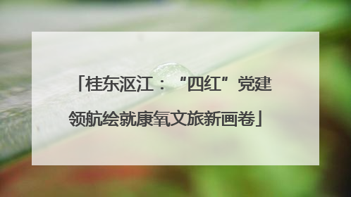 桂东沤江：“四红”党建领航绘就康氧文旅新画卷