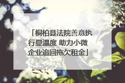 桐柏县法院善意执行显温度 助力小微企业追回拖欠租金