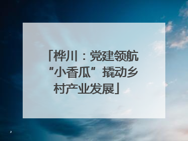 桦川：党建领航“小香瓜”撬动乡村产业发展