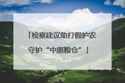 检察建议助打假护农守护“中原粮仓”