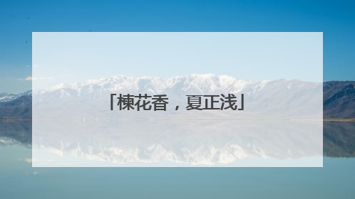 楝花香，夏正浅